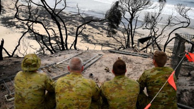 Avustralya'da yeni tehlike: Zehirli örümcek