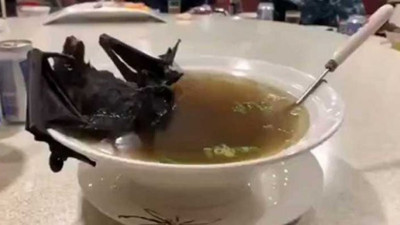 Yarasa kaynaklıysa mağara ekosistemi bozulmuştur