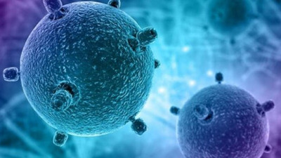 Fransa'da coronavirüs vakası 4'e yükseldi