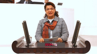 Suzan Şahin: Gazilerin emekli maaşını kesmek aymazlıktır!