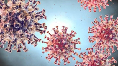 Coronavirüsü can almaya devam ediyor