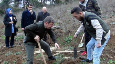 Ağaç dikip cezadan kurtuldular