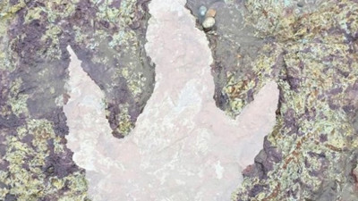 Fırtına ortaya çıkardı: 130 milyonluk ayak izni