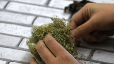 Prof. Dr. Gökhan Halıcı: "İklim değişikliği Antarktika'yı yeşillendiriyor"