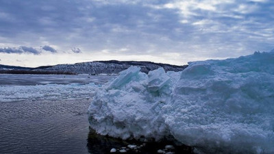 Sibirya'da Buzul Çağı'ndan kalma kuş kalıntısı!