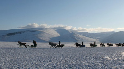 Tek geçim kaynakları atlı kızaklar