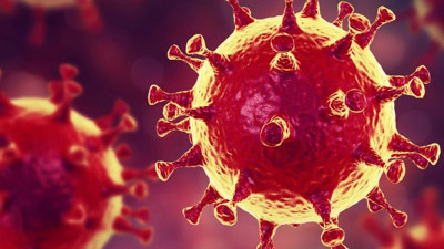 Korona virüs araştırması sonuçlandı