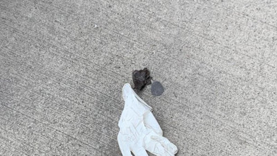 Korona önlemi diye taktılar: Yere attılar!