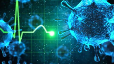 Hanta virüs nedir? Hanta virüs belirtileri nelerdir? ? Hanta virüs nasıl bulaşır?