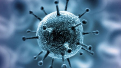 Korona virüse karşı etkili Küba İlacı