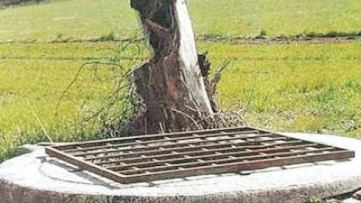 Bu da İtalyan hurafesi! Mucizevi su