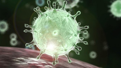 İngiliz genetik bilimci: Korona virüsün atası ABD