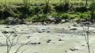 Sahipsiz ülke Türkiye: Dereye döktüler, su zehir oldu