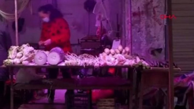 Bu Çinliler akıllanmıyor! Hayvan pazarı yeniden açıldı