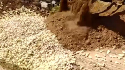 İran’da civcivleri canlı canlı toprağa gömdüler