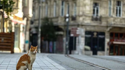 8 Mayıs Cuma günü sokağa çıkma yasağı uygulanacak mı? Hangi günler sokağa çıkma yasağı var?