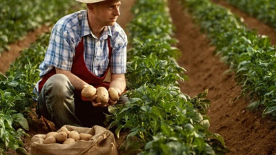 Tehlike çanları çalıyor: Koronadan sonra dünyayı bekleyen yeni tehlike