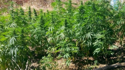 Mezarlık görevlisi suçüstü yakalandı