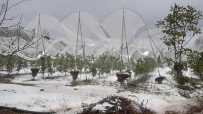Erdemli'de 'dolu' seralara zarar verdi
