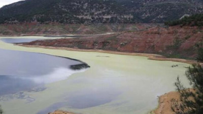 Akademisyenden açıklama: Türkiye'de ilginç doğa olayı