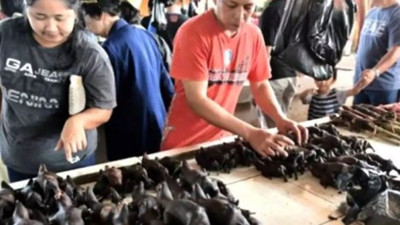 DSÖ ilk kez bu kadar net açıkladı: Virüs dünyaya buradan yayıldı!