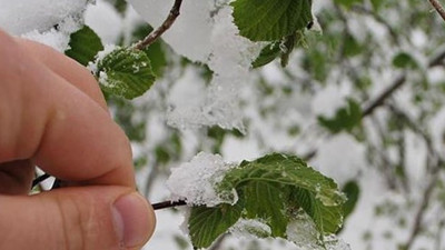 Meteoroloji 6 il için uyardı