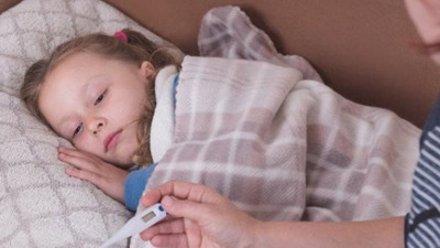 Bir salgın bitmeden yenisi başlıyor, yeni bela 3 can daha aldı