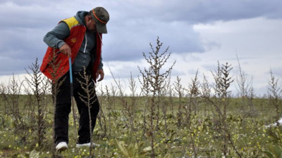 Topladıklarını kilosu 200 liradan satacaklar: Bu adamlar ne arıyor