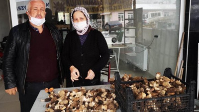 Bu mantarın fiyatı cüzdan yakıyor