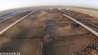 Sektör çöküyor: Yüzbinlerce hayvanı katlettiler