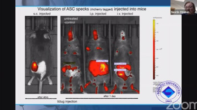 Türk doktor canlı yayında duyurdu: Aşı çalışmalarına bir takımda hücre deneylerinde başarılı olduk