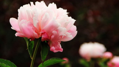 'İyi ki bu haberi okudum' diyeceksiniz: 60 bin liranıza mal olabilir