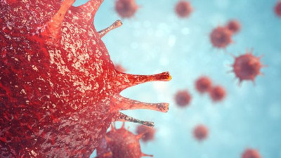 ABD’de heyecanlandıran gelişme! Hiçbiri hastalanmadı