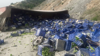 Cadde biber tarlasına döndü