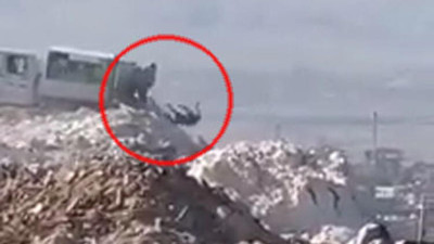 Denizli'deki çöplükte infial yaratan görüntüler!