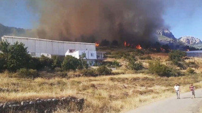 Orman yangını muz seralarını da yaktı