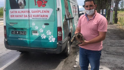 Araçtaki davetsiz misafiri jandarma buldu