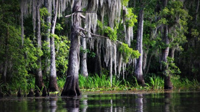 Felaketler bitmiyor! 50 yıl içinde sular altında kalabilir: 1,2 milyon kişi etkilenecek