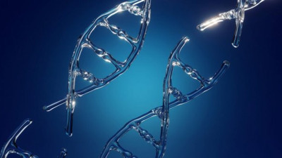 Herkesin bildiği ama kanıtlayamadığı konu: İnsan genleri hakkında çok konuşulacak araştırma