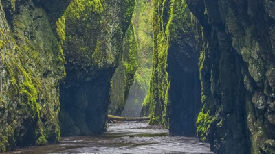 İnsanlığın 46 bin yıllık mirasını havaya uçurdular