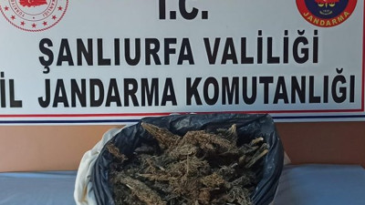 Aracın bagajında esrar avı