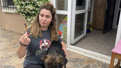 Ünlü oyuncunun köpeklerine çivili kemik