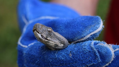 O illere uyarı yapıldı: “5-10 dakika içinde ölüme neden oluyor”