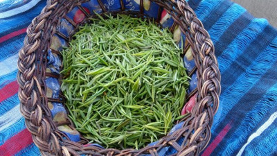 Şifa kaynağı ama kilosu 4.500 TL