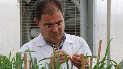 Çiftçiler “Ohhh” diyecek: Karamanoğlu Mehmetbey Üniversitesi müjdeyi verdi