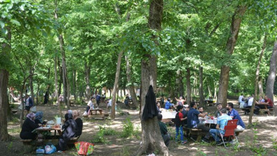 Normalleşme kuralları yerine 'orman kanunu'