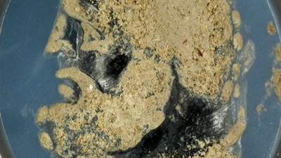 1,3 santim çapında antik yüzük taşı bulundu