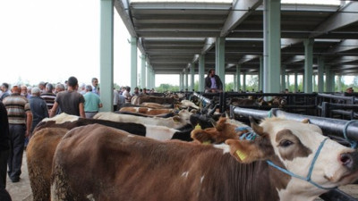 Mahalleli hayvan pazarını istemiyor