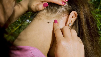 Korona ile uğraşırken bir de o can almaya başladı: Vakalar artıyor