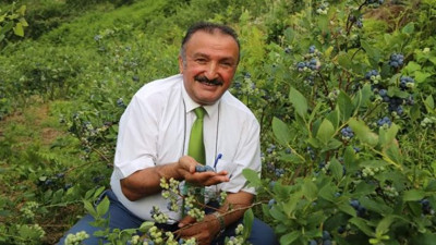 Öğretmenlikten mavi yemiş yetiştiriciliğine
